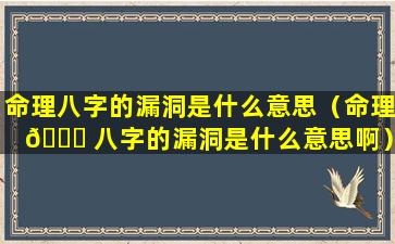 命理八字的漏洞是什么意思（命理 🍁 八字的漏洞是什么意思啊）